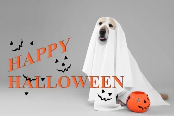 Happy Halloween from Century Mortgage Lending